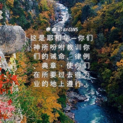 Picture 04 - 申 命 记 6:1 CUVS - 这 是 耶 和 华 ─ 你 们 神 所 吩 咐 - Bible Verse Picture