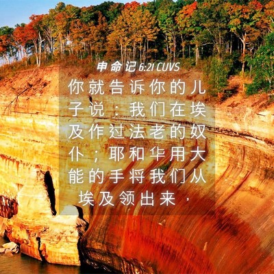 Picture 04 - 申 命 记 6:21 CUVS - 你 就 告 诉 你 的 儿 子 说 ： 我 们 - Bible Verse Picture