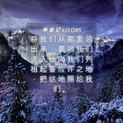 Picture 04 - 申 命 记 6:23 CUVS - 将 我 们 从 那 里 领 出 来 ， 要 领 - Bible Verse Picture