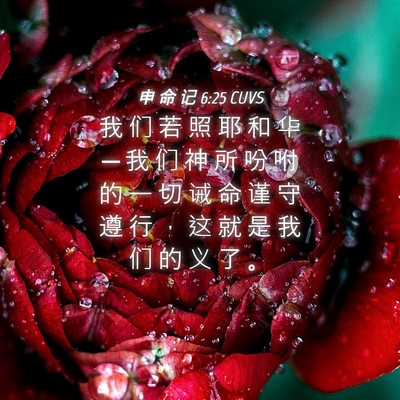 Picture 04 - 申 命 记 6:25 CUVS - 我 们 若 照 耶 和 华 ─ 我 们 神 所 - Bible Verse Picture