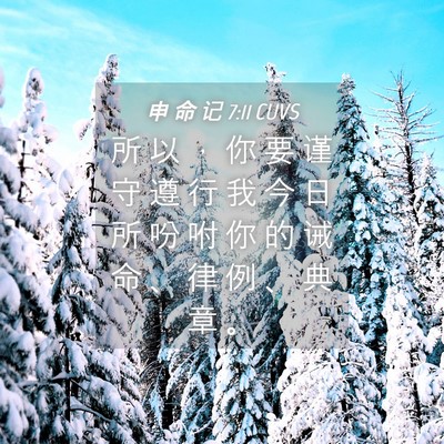 Picture 04 - 申 命 记 7:11 CUVS - 所 以 ， 你 要 谨 守 遵 行 我 今 日 - Bible Verse Picture