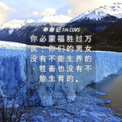 Picture 04 - 申 命 记 7:14 CUVS - 你 必 蒙 福 胜 过 万 民 ； 你 们 的 - Bible Verse Picture
