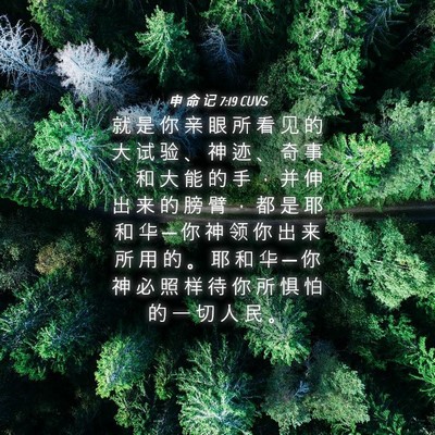 Picture 04 - 申 命 记 7:19 CUVS - 就 是 你 亲 眼 所 看 见 的 大 试 验 - Bible Verse Picture