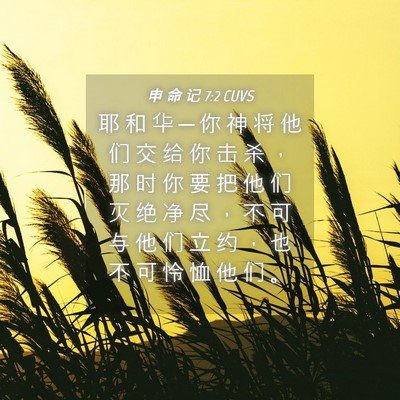 Picture 04 - 申 命 记 7:2 CUVS - 耶 和 华 ─ 你 神 将 他 们 交 给 你 - Bible Verse Picture