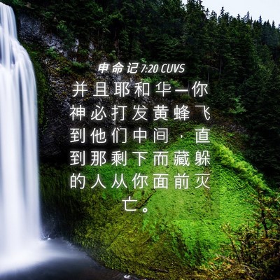 Picture 04 - 申 命 记 7:20 CUVS - 并 且 耶 和 华 ─ 你 神 必 打 发 黄 - Bible Verse Picture