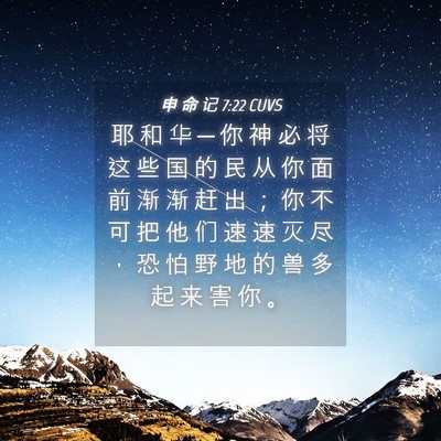 Picture 04 - 申 命 记 7:22 CUVS - 耶 和 华 ─ 你 神 必 将 这 些 国 的 - Bible Verse Picture