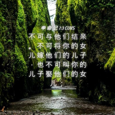 Picture 04 - 申 命 记 7:3 CUVS - 不 可 与 他 们 结 亲 。 不 可 将 你 - Bible Verse Picture