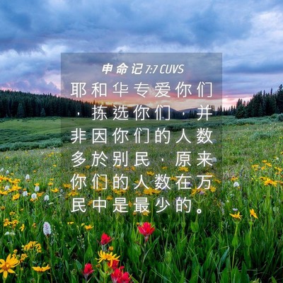 Picture 04 - 申 命 记 7:7 CUVS - 耶 和 华 专 爱 你 们 ， 拣 选 你 们 - Bible Verse Picture