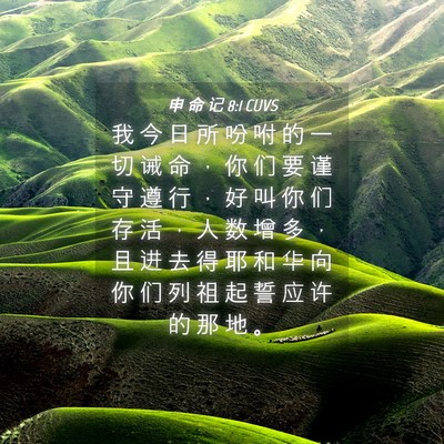 Picture 04 - 申 命 记 8:1 CUVS - 我 今 日 所 吩 咐 的 一 切 诫 命 ， - Bible Verse Picture