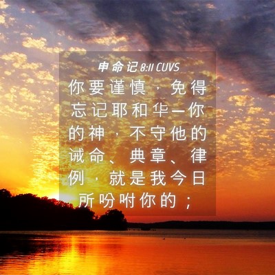 Picture 04 - 申 命 记 8:11 CUVS - 你 要 谨 慎 ， 免 得 忘 记 耶 和 华 - Bible Verse Picture