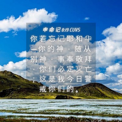 Picture 04 - 申 命 记 8:19 CUVS - 你 若 忘 记 耶 和 华 ─ 你 的 神 ， - Bible Verse Picture