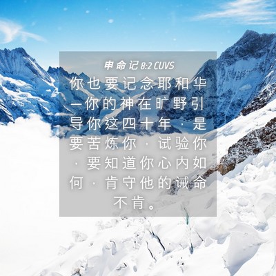Picture 04 - 申 命 记 8:2 CUVS - 你 也 要 记 念 耶 和 华 ─ 你 的 神 - Bible Verse Picture
