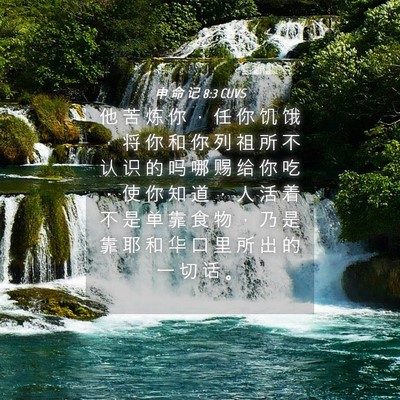Picture 04 - 申 命 记 8:3 CUVS - 他 苦 炼 你 ， 任 你 饥 饿 ， 将 你 - Bible Verse Picture