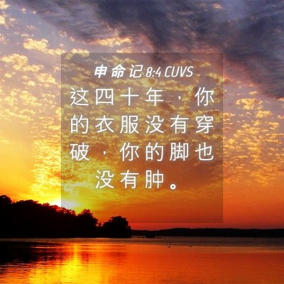 Picture 04 - 申 命 记 8:4 CUVS - 这 四 十 年 ， 你 的 衣 服 没 有 穿 - Bible Verse Picture