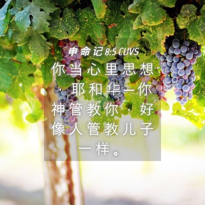 Picture 04 - 申 命 记 8:5 CUVS - 你 当 心 里 思 想 ， 耶 和 华 ─ 你 - Bible Verse Picture