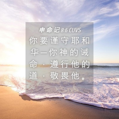 Picture 04 - 申 命 记 8:6 CUVS - 你 要 谨 守 耶 和 华 ─ 你 神 的 诫 - Bible Verse Picture