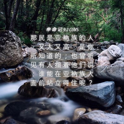 Picture 04 - 申 命 记 9:2 CUVS - 那 民 是 亚 衲 族 的 人 ， 又 大 又 - Bible Verse Picture