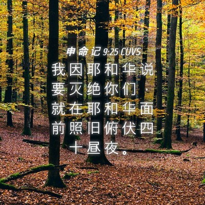Picture 04 - 申 命 记 9:25 CUVS - 我 因 耶 和 华 说 要 灭 绝 你 们 ， - Bible Verse Picture