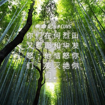 Picture 04 - 申 命 记 9:8 CUVS - 你 们 在 何 烈 山 又 惹 耶 和 华 发 - Bible Verse Picture
