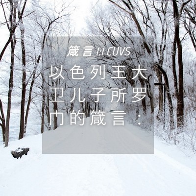 Picture 04 - 箴 言 1:1 CUVS - 以 色 列 王 大 卫 儿 子 所 罗 门 的 - Bible Verse Picture