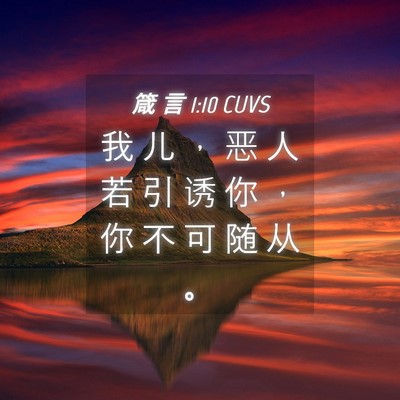 Picture 04 - 箴 言 1:10 CUVS - 我 儿 ， 恶 人 若 引 诱 你 ， 你 不 - Bible Verse Picture