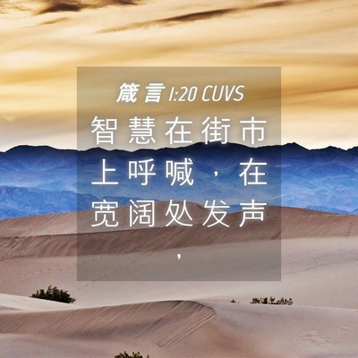 Picture 04 - 箴 言 1:20 CUVS - 智 慧 在 街 市 上 呼 喊 ， 在 宽 阔 - Bible Verse Picture