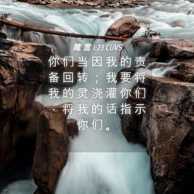 Picture 04 - 箴 言 1:23 CUVS - 你 们 当 因 我 的 责 备 回 转 ； 我 - Bible Verse Picture