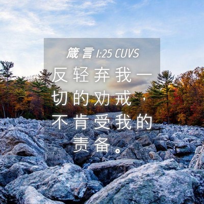 Picture 04 - 箴 言 1:25 CUVS - 反 轻 弃 我 一 切 的 劝 戒 ， 不 肯 - Bible Verse Picture