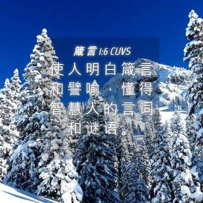 Picture 04 - 箴 言 1:6 CUVS - 使 人 明 白 箴 言 和 譬 喻 ， 懂 得 - Bible Verse Picture