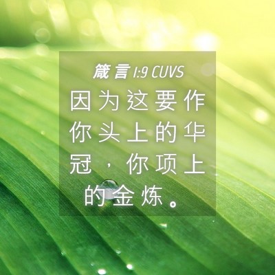 Picture 04 - 箴 言 1:9 CUVS - 因 为 这 要 作 你 头 上 的 华 冠 ， - Bible Verse Picture