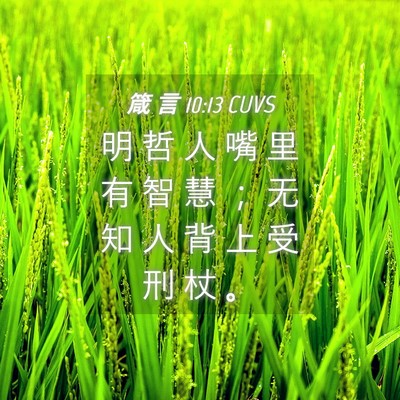 Picture 04 - 箴 言 10:13 CUVS - 明 哲 人 嘴 里 有 智 慧 ； 无 知 人 - Bible Verse Picture
