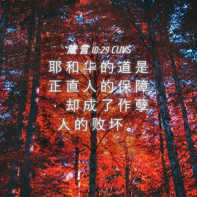 Picture 04 - 箴 言 10:29 CUVS - 耶 和 华 的 道 是 正 直 人 的 保 障 - Bible Verse Picture
