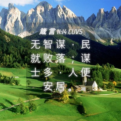 Picture 04 - 箴 言 11:14 CUVS - 无 智 谋 ， 民 就 败 落 ； 谋 士 多 - Bible Verse Picture