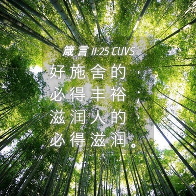 Picture 04 - 箴 言 11:25 CUVS - 好 施 舍 的 ， 必 得 丰 裕 ； 滋 润 - Bible Verse Picture