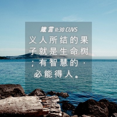 Picture 04 - 箴 言 11:30 CUVS - 义 人 所 结 的 果 子 就 是 生 命 树 - Bible Verse Picture