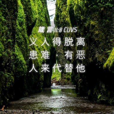 Picture 04 - 箴 言 11:8 CUVS - 义 人 得 脱 离 患 难 ， 有 恶 人 来 - Bible Verse Picture