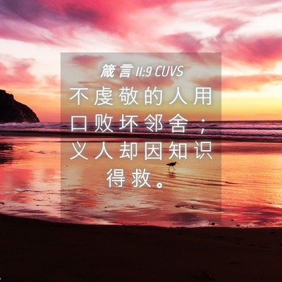 Picture 04 - 箴 言 11:9 CUVS - 不 虔 敬 的 人 用 口 败 坏 邻 舍 ； - Bible Verse Picture