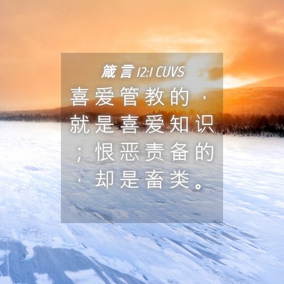 Picture 04 - 箴 言 12:1 CUVS - 喜 爱 管 教 的 ， 就 是 喜 爱 知 识 - Bible Verse Picture