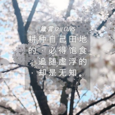 Picture 04 - 箴 言 12:11 CUVS - 耕 种 自 己 田 地 的 ， 必 得 饱 食 - Bible Verse Picture