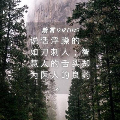 Picture 04 - 箴 言 12:18 CUVS - 说 话 浮 躁 的 ， 如 刀 刺 人 ； 智 - Bible Verse Picture