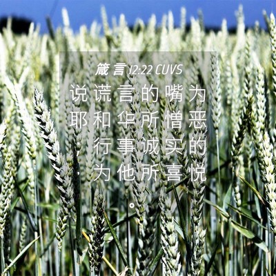 Picture 04 - 箴 言 12:22 CUVS - 说 谎 言 的 嘴 为 耶 和 华 所 憎 恶 - Bible Verse Picture
