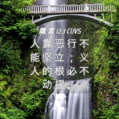 Picture 04 - 箴 言 12:3 CUVS - 人 靠 恶 行 不 能 坚 立 ； 义 人 的 - Bible Verse Picture