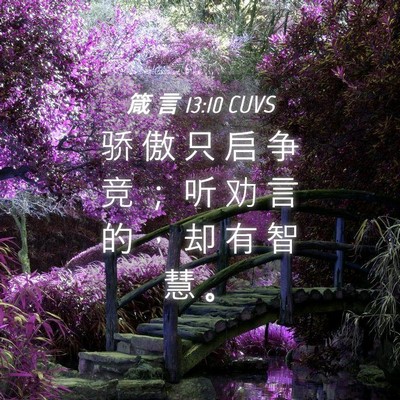 Picture 04 - 箴 言 13:10 CUVS - 骄 傲 只 启 争 竞 ； 听 劝 言 的 ， - Bible Verse Picture