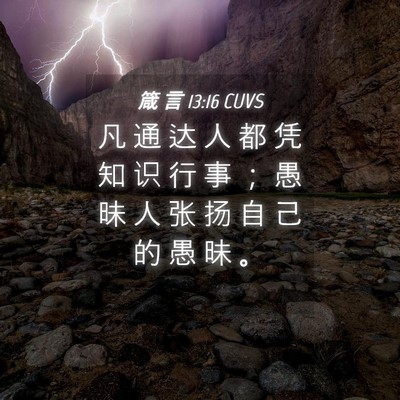 Picture 04 - 箴 言 13:16 CUVS - 凡 通 达 人 都 凭 知 识 行 事 ； 愚 - Bible Verse Picture