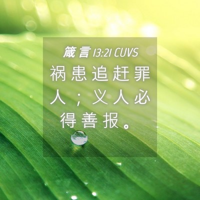 Picture 04 - 箴 言 13:21 CUVS - 祸 患 追 赶 罪 人 ； 义 人 必 得 善 - Bible Verse Picture