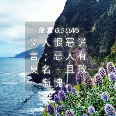 Picture 04 - 箴 言 13:5 CUVS - 义 人 恨 恶 谎 言 ； 恶 人 有 臭 名 - Bible Verse Picture