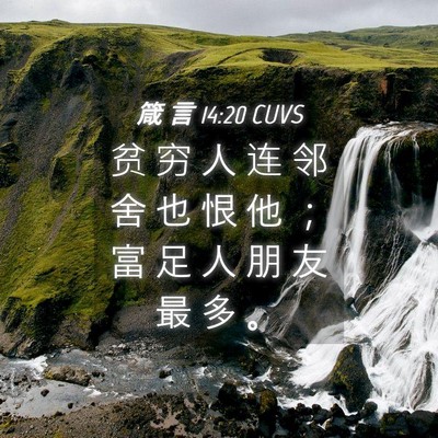 Picture 04 - 箴 言 14:20 CUVS - 贫 穷 人 连 邻 舍 也 恨 他 ； 富 足 - Bible Verse Picture