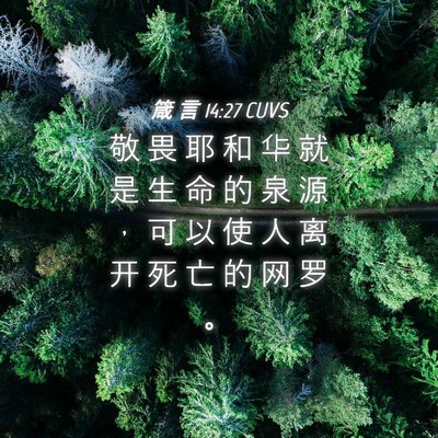 Picture 04 - 箴 言 14:27 CUVS - 敬 畏 耶 和 华 就 是 生 命 的 泉 源 - Bible Verse Picture