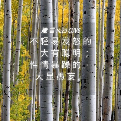 Picture 04 - 箴 言 14:29 CUVS - 不 轻 易 发 怒 的 ， 大 有 聪 明 ； - Bible Verse Picture