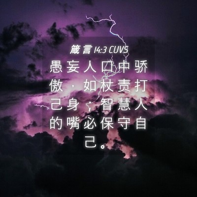 Picture 04 - 箴 言 14:3 CUVS - 愚 妄 人 口 中 骄 傲 ， 如 杖 责 打 - Bible Verse Picture